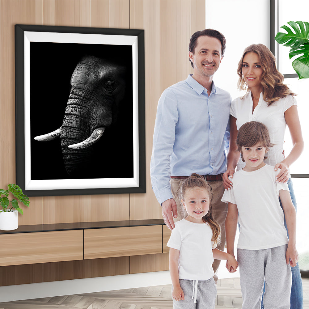 Schwarzweißer Elefant Diamond Painting