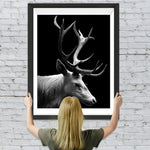 Schwarzweißer Hirsch mit langen Hörnern Diamond Painting