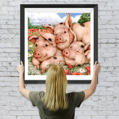 Schweine auf dem Feld Diamond Painting