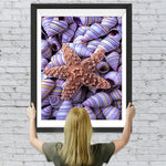 Seestern auf den Muscheln Diamond Painting