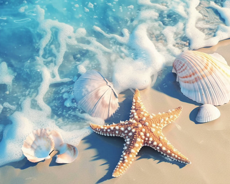 Seesterne und Muscheln am Strand Diamond Painting