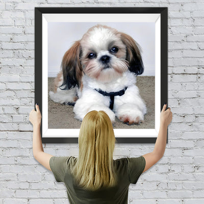 Shih-Tzu-Hund Diamond Painting