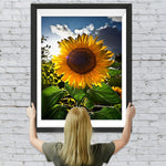 Sonnenblume unter blauem Himmel Diamond Painting