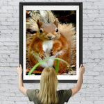 Süßes Eichhörnchen Diamond Painting