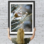 Tannenbaum und Eichhörnchen im Winter Diamond Painting