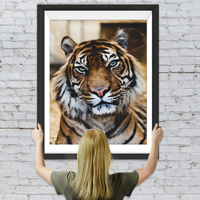 Tiger Diamond Painting