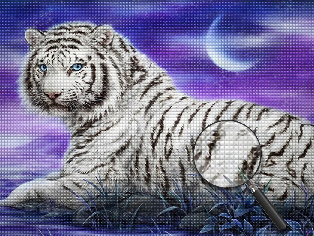 tiger-diamond-painting-tigw141-3