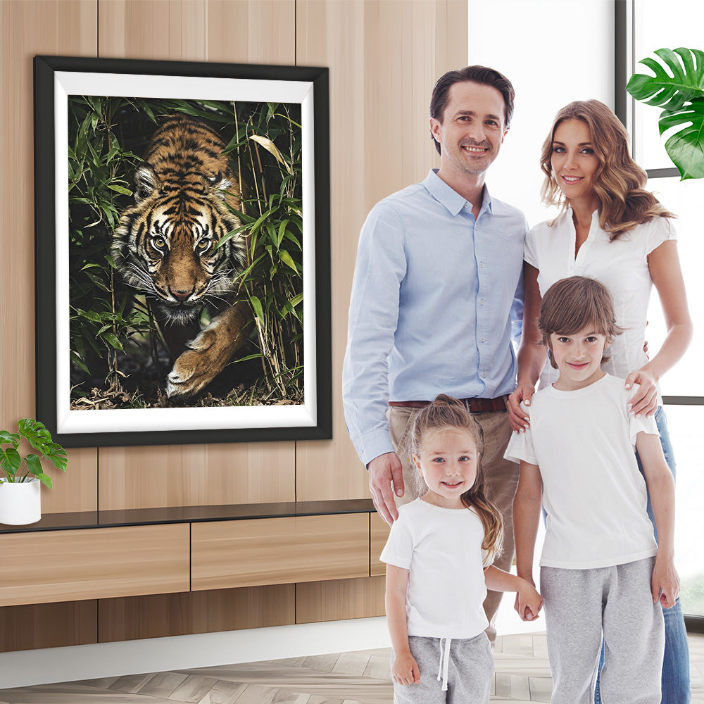 Tiger Gras Diamond Painting