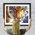 Tiger mit blauen Augen Diamond Painting