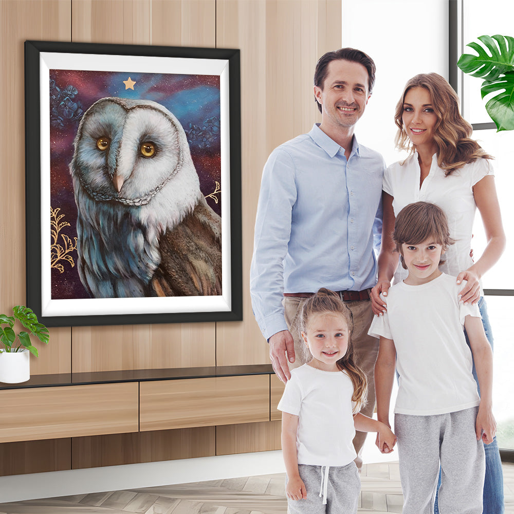 Traurige Eule Diamond Painting