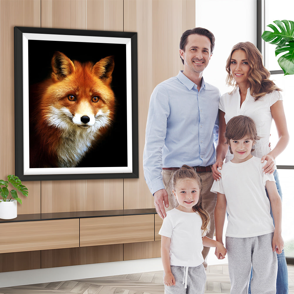 Trauriger Fuchs im Dunkeln Diamond Painting