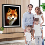 Trauriger Fuchs im Dunkeln Diamond Painting