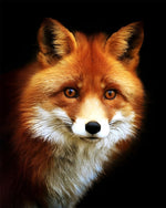 Trauriger Fuchs im Dunkeln Diamond Painting