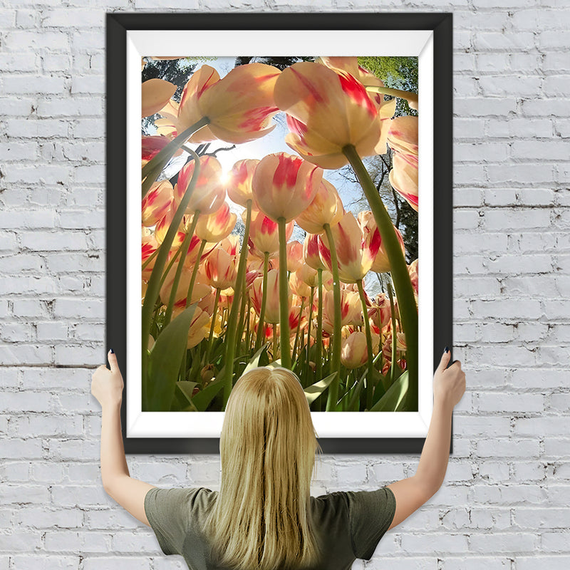 Tulpen Diamond Painting