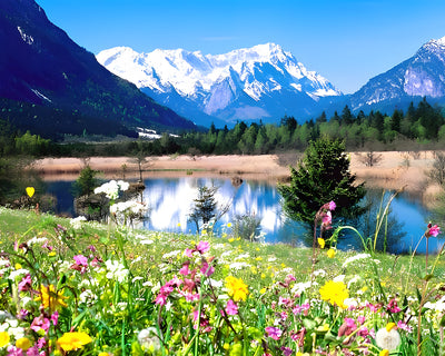 Verschneiter Berg, Blumenfeld und See Diamond Painting