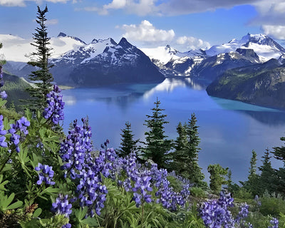 Verschneiter Berg und See Diamond Painting