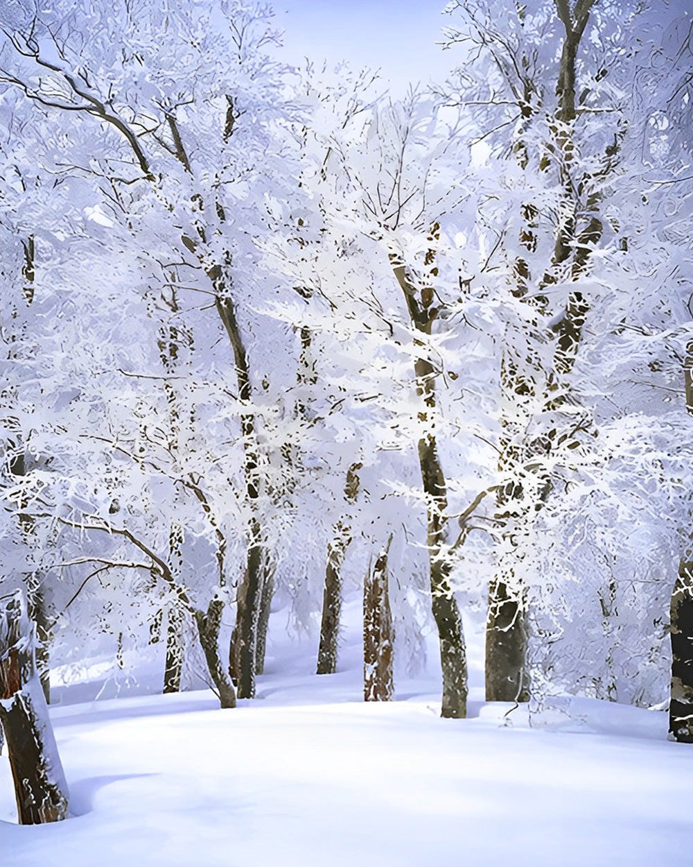 Verschneiter Wald Diamond Painting