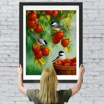 Vögel und Äpfel Diamond Painting