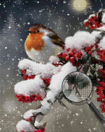 Vogel auf einem Beerenbaum im Schnee Diamond Painting