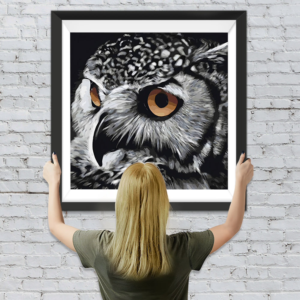 Wachsame Eule Diamond Painting