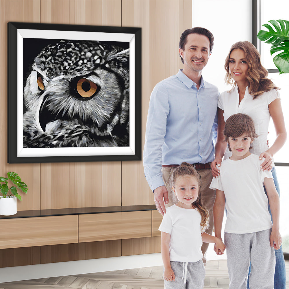 Wachsame Eule Diamond Painting