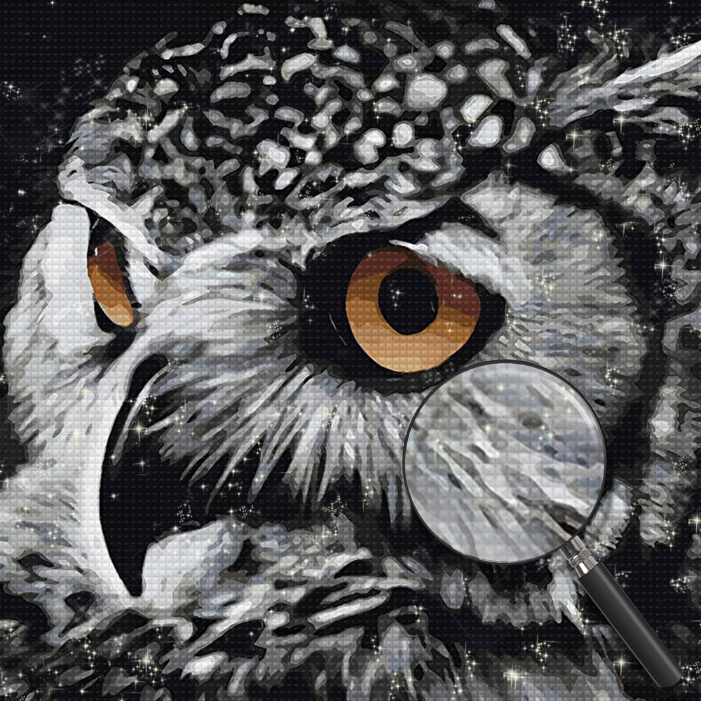 Wachsame Eule Diamond Painting