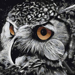 Wachsame Eule Diamond Painting
