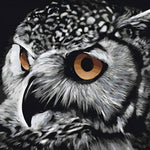 Wachsame Eule Diamond Painting