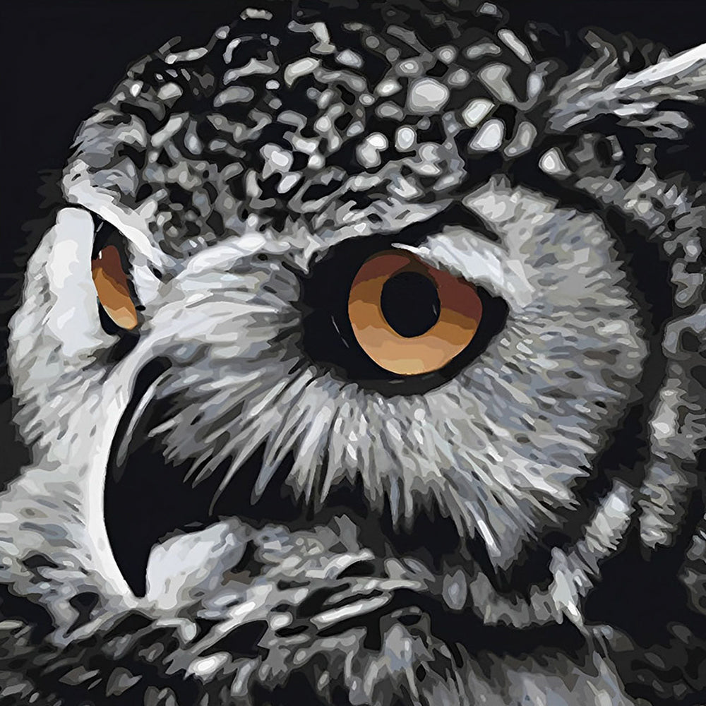 Wachsame Eule Diamond Painting