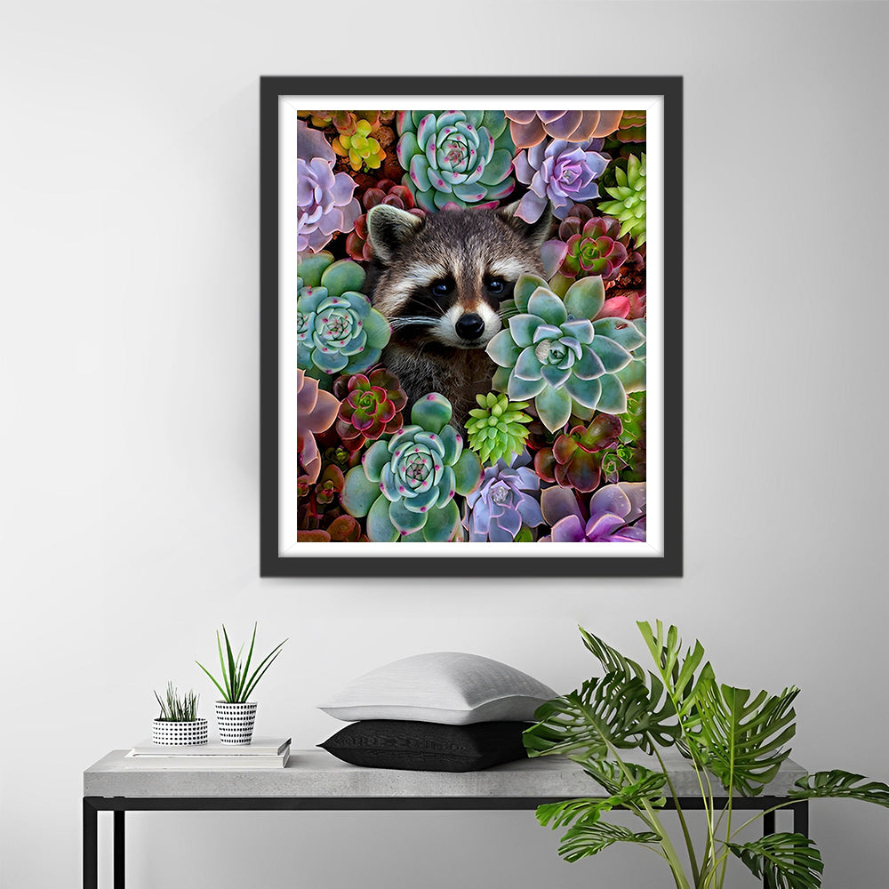 Waschbär zwischen Sukkulenten Diamond Painting