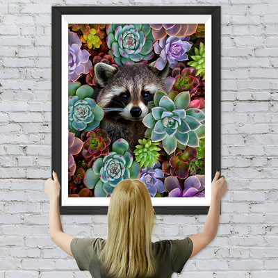 Waschbär zwischen Sukkulenten Diamond Painting