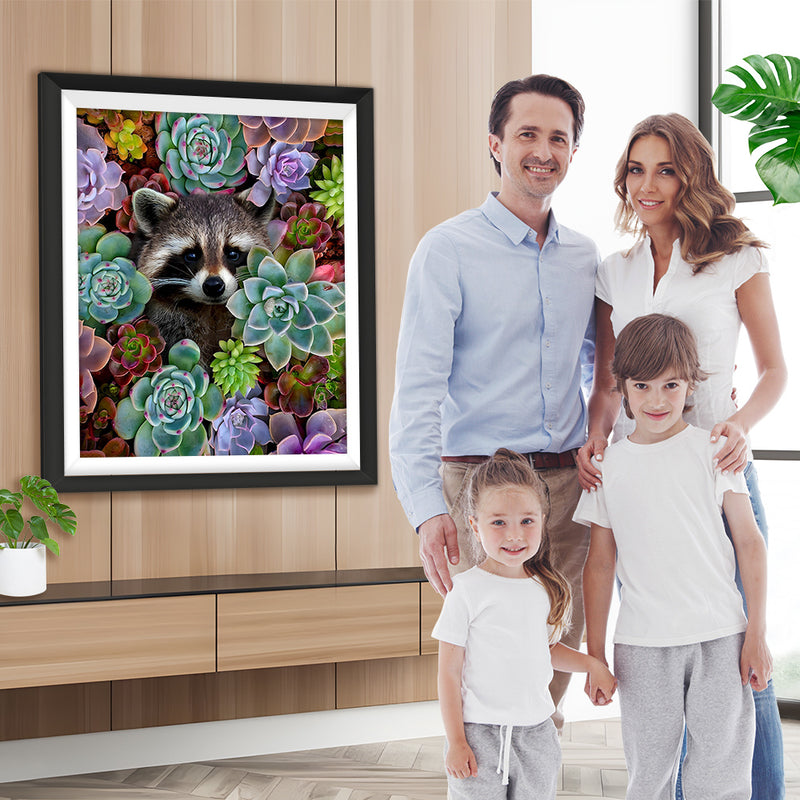 Waschbär zwischen Sukkulenten Diamond Painting
