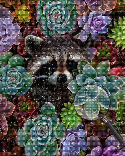 Waschbär zwischen Sukkulenten Diamond Painting