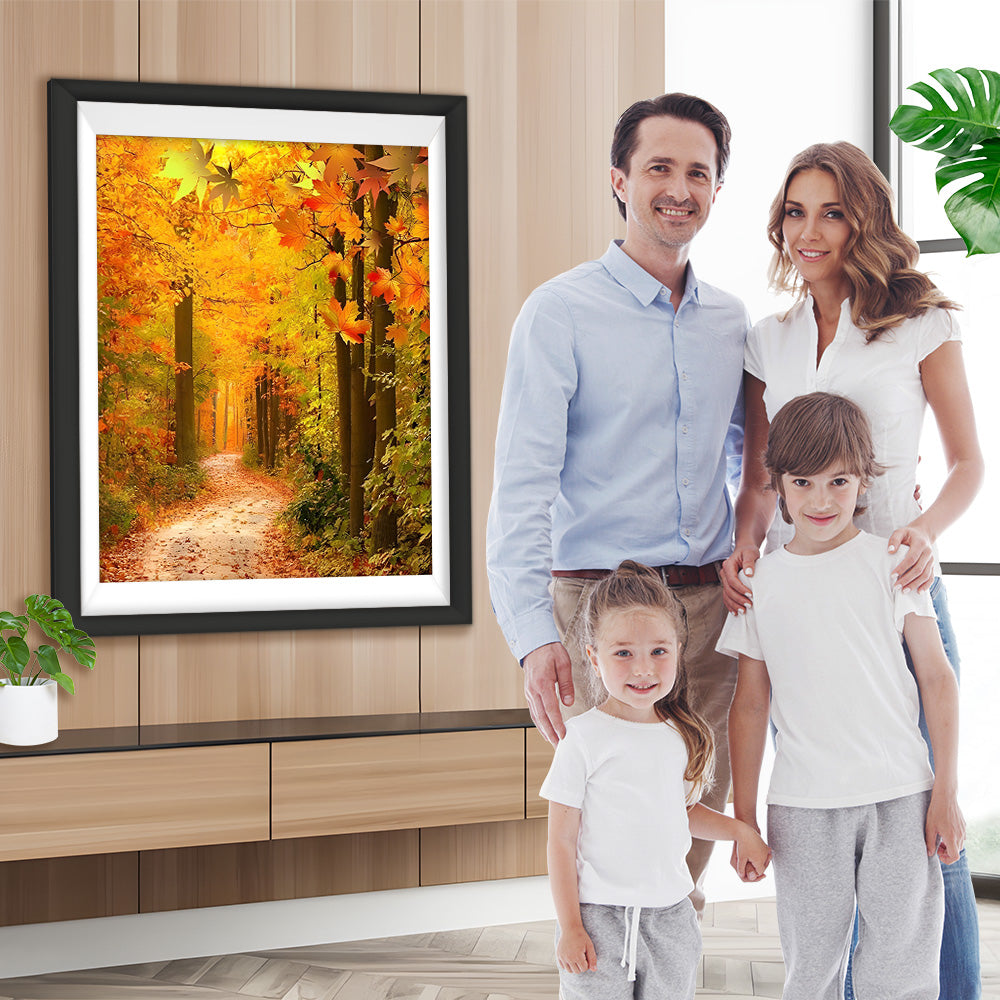 Weg im Ahornwald Diamond Painting