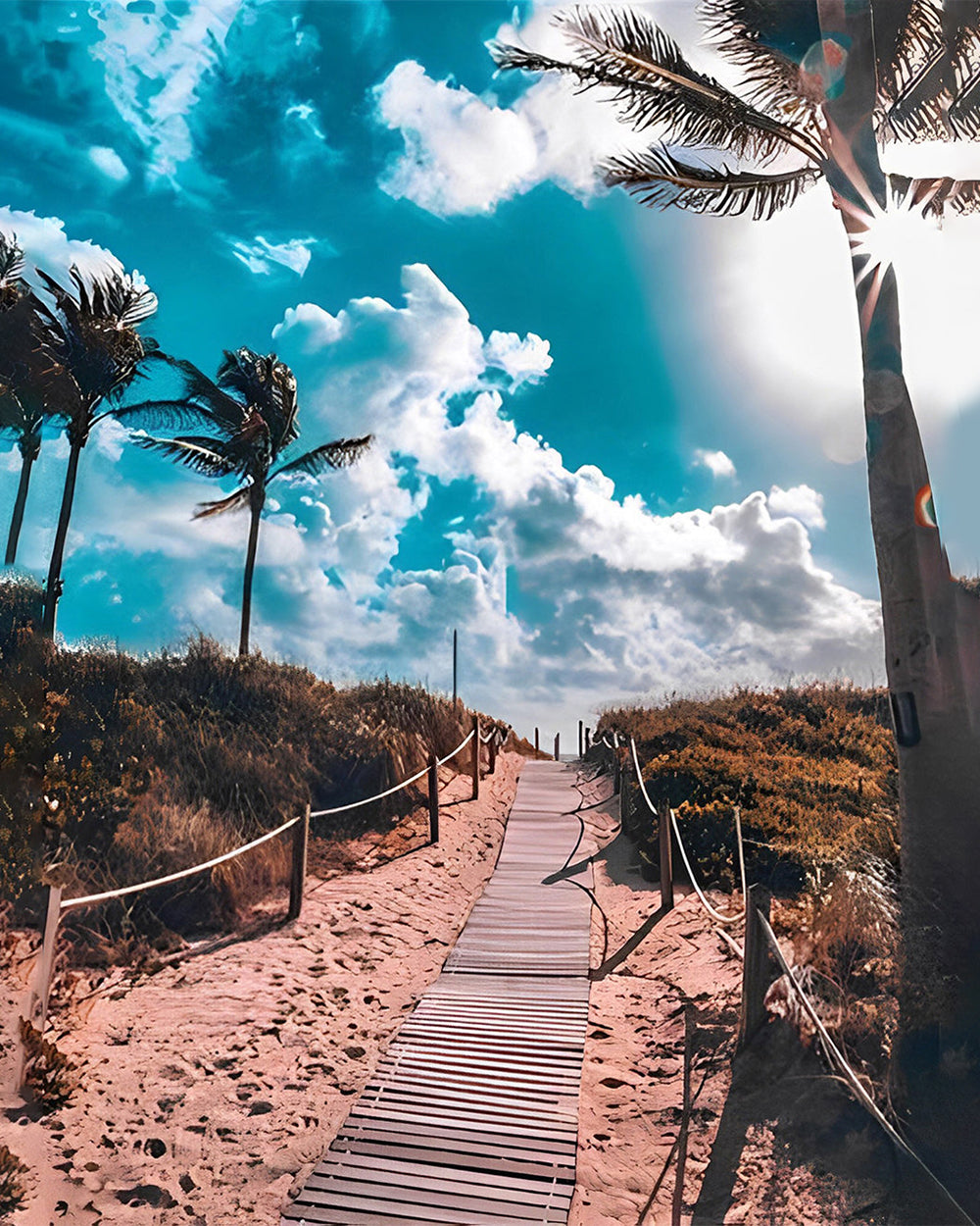 Weg und Palmen unter blauem Himmel Diamond Painting