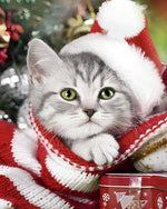 Weihnachtskätzchen mit Hut Diamond Painting