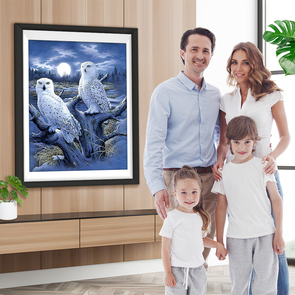 Weiße Eulen und Vollmond Diamond Painting