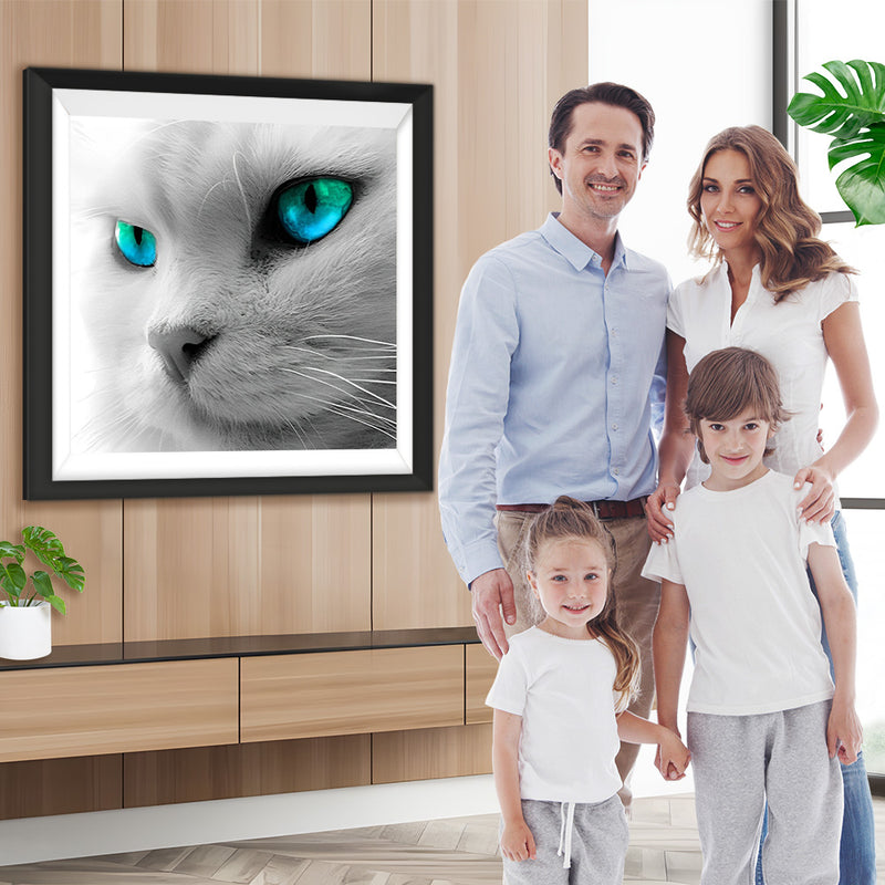 Weiße Katze mit grünen Augen Diamond Painting