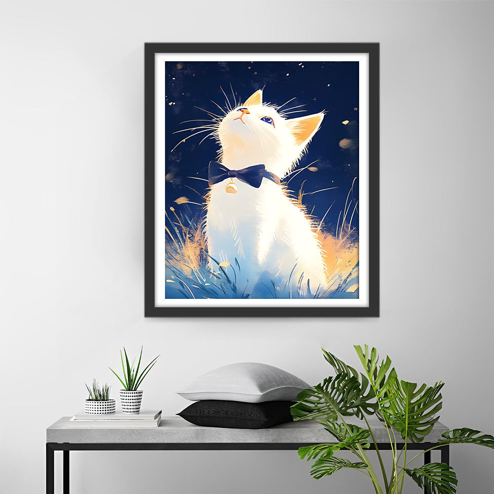 Weiße Katze schaut in den Nachthimmel Diamond Painting