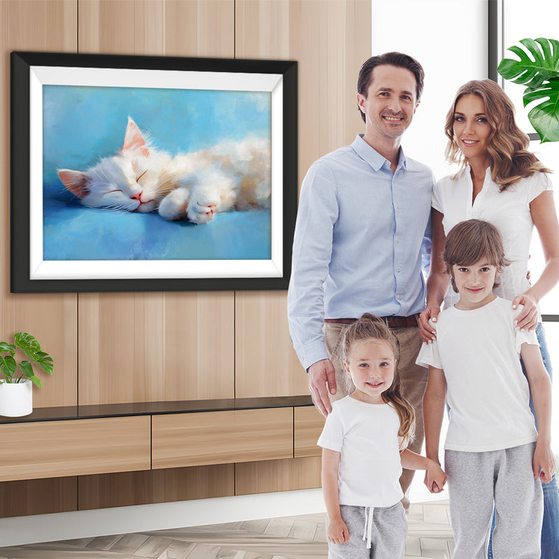 Weiße Katze schlafend Diamond Painting