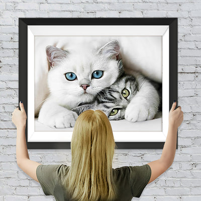 Weiße Katze und graue Katze Diamond Painting