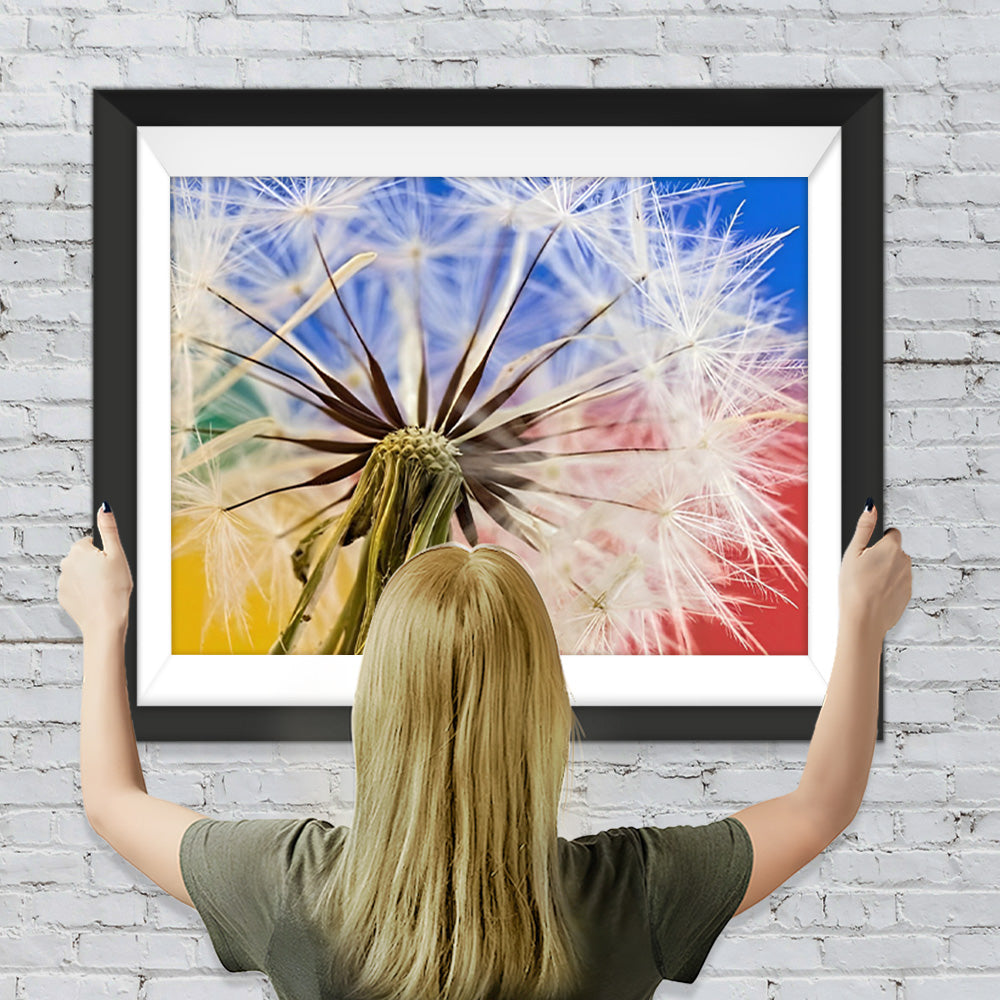 Weiße Pusteblume Diamond Painting