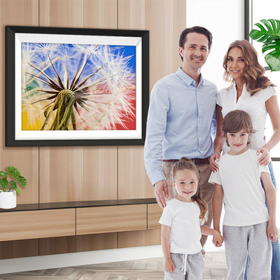 Weiße Pusteblume Diamond Painting