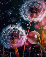 Weißer Löwenzahn bei Nacht Diamond Painting