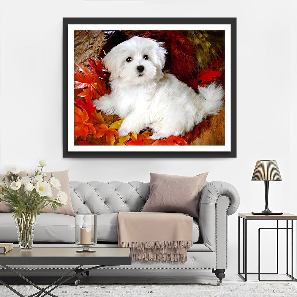 Weißer Malteser unter roten Ahornblättern Diamond Painting