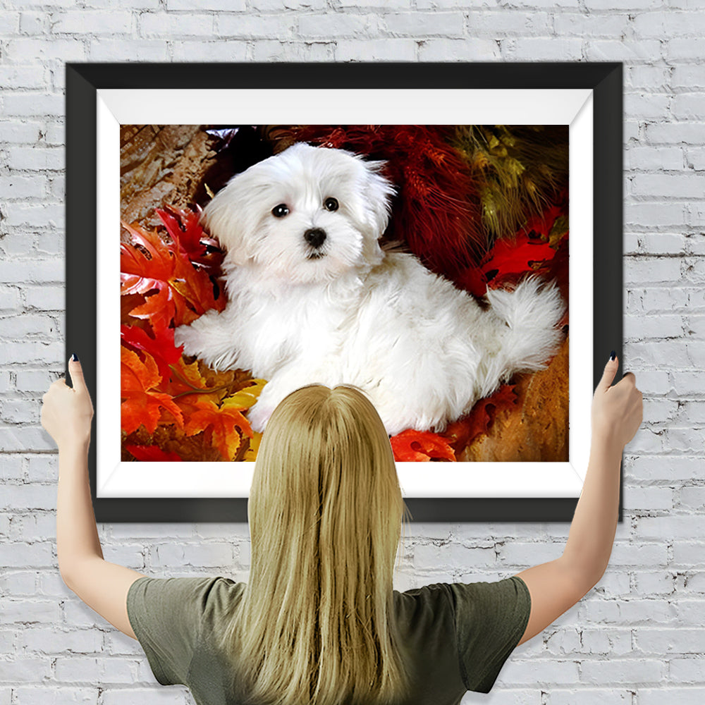 Weißer Malteser unter roten Ahornblättern Diamond Painting