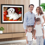 Weißer Malteser unter roten Ahornblättern Diamond Painting