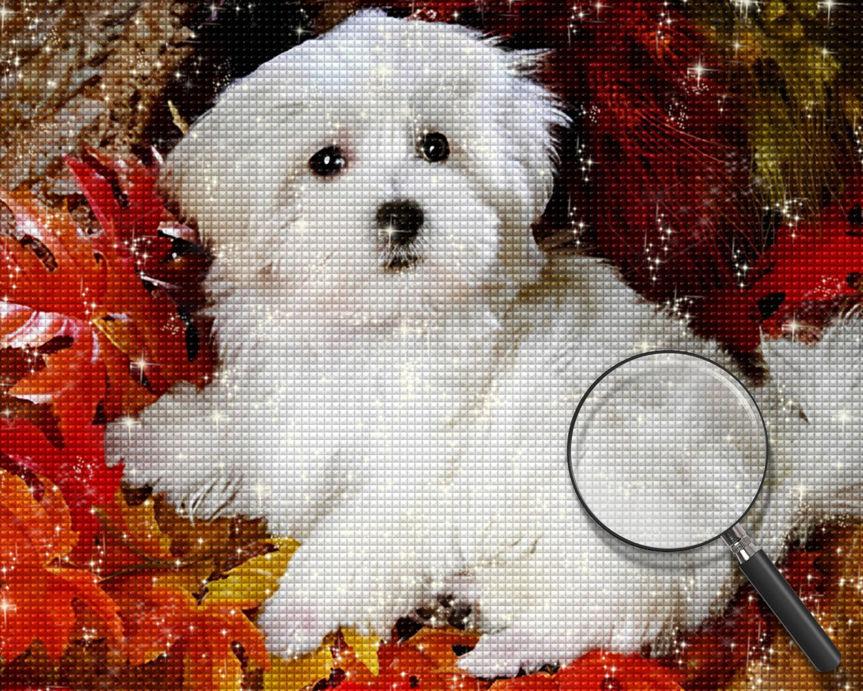 Weißer Malteser unter roten Ahornblättern Diamond Painting