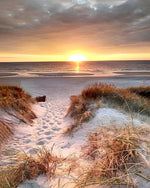 Wildes Gras am Strand Diamond Painting