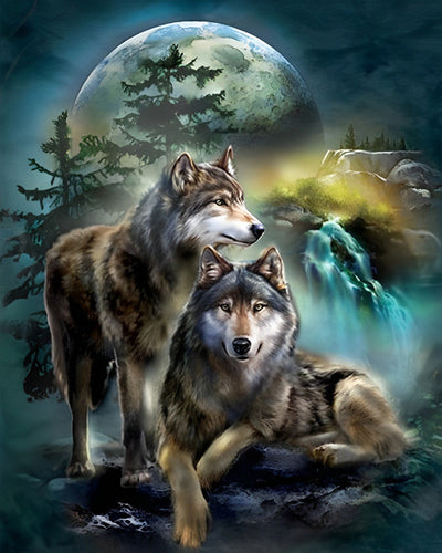 Wölfe und Mond bei Nacht Diamond Painting
